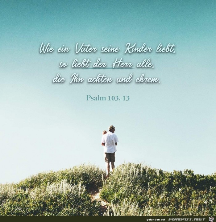 psalm103.13 psalm103.13