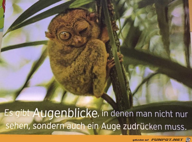 es gibt Augenblicke