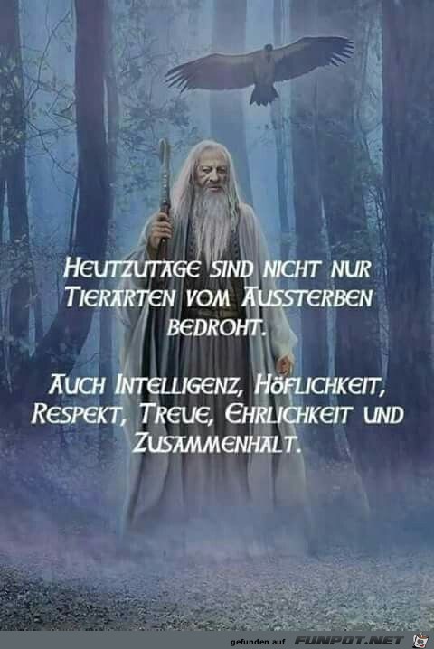 heutzutage