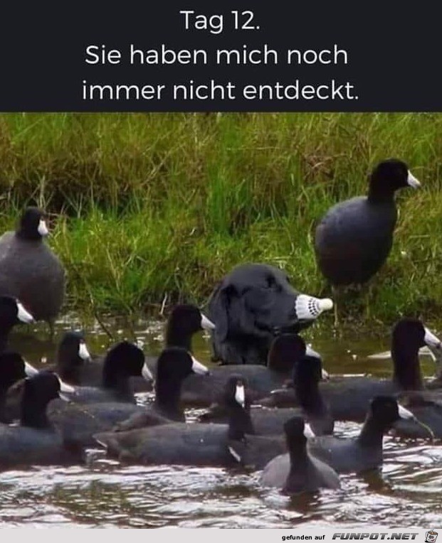 Sie haben mich noch nicht entdeckt