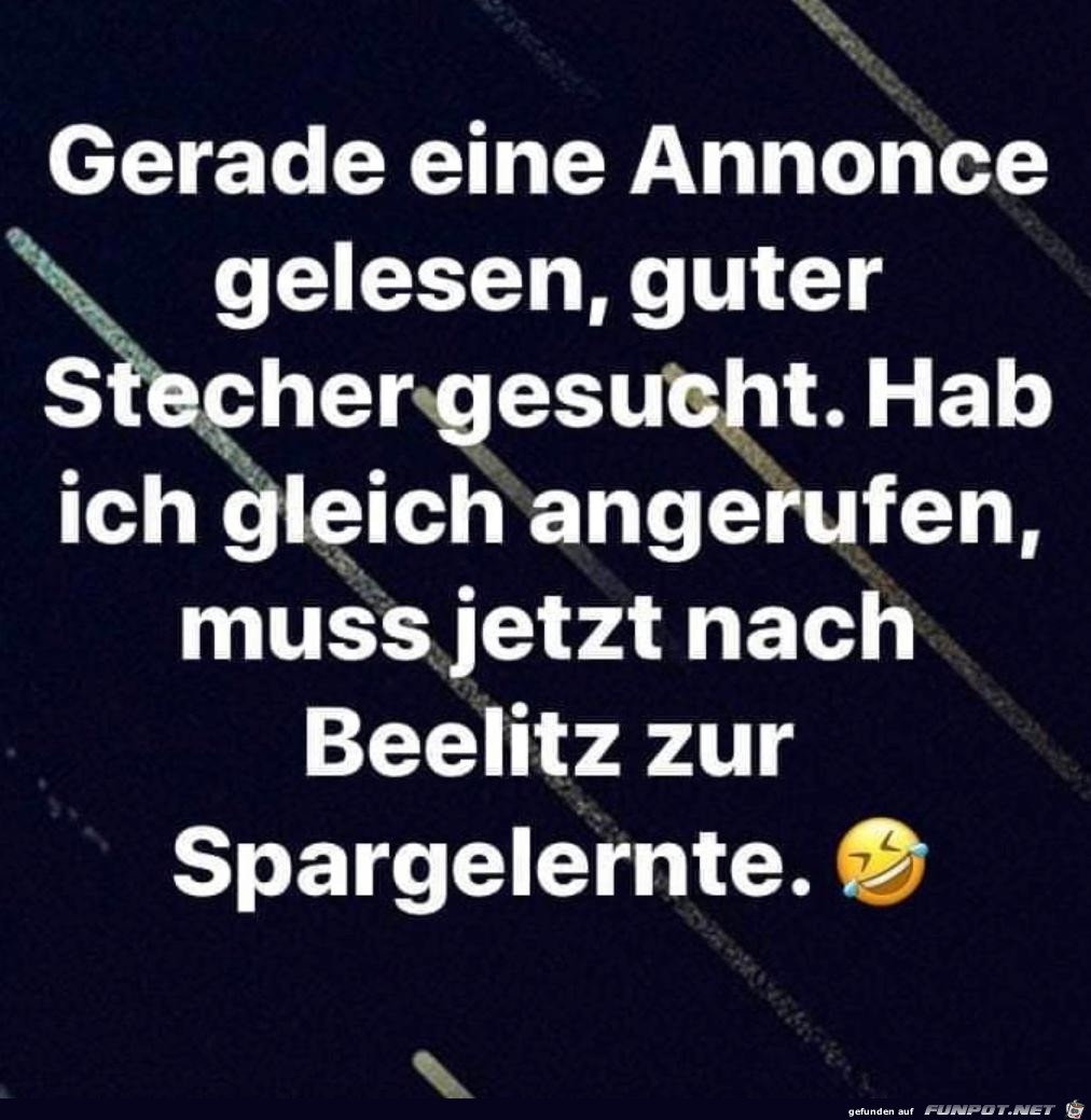 Guter Stecher gesucht Guter Stecher gesucht