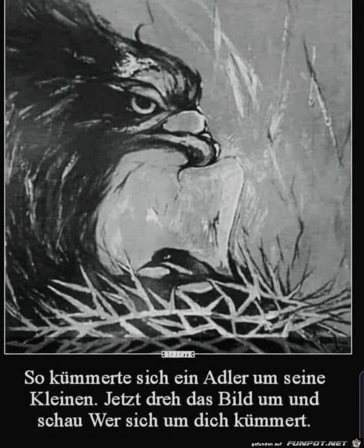 Wer kümmert sich um wem? Wer kümmert sich um wem?