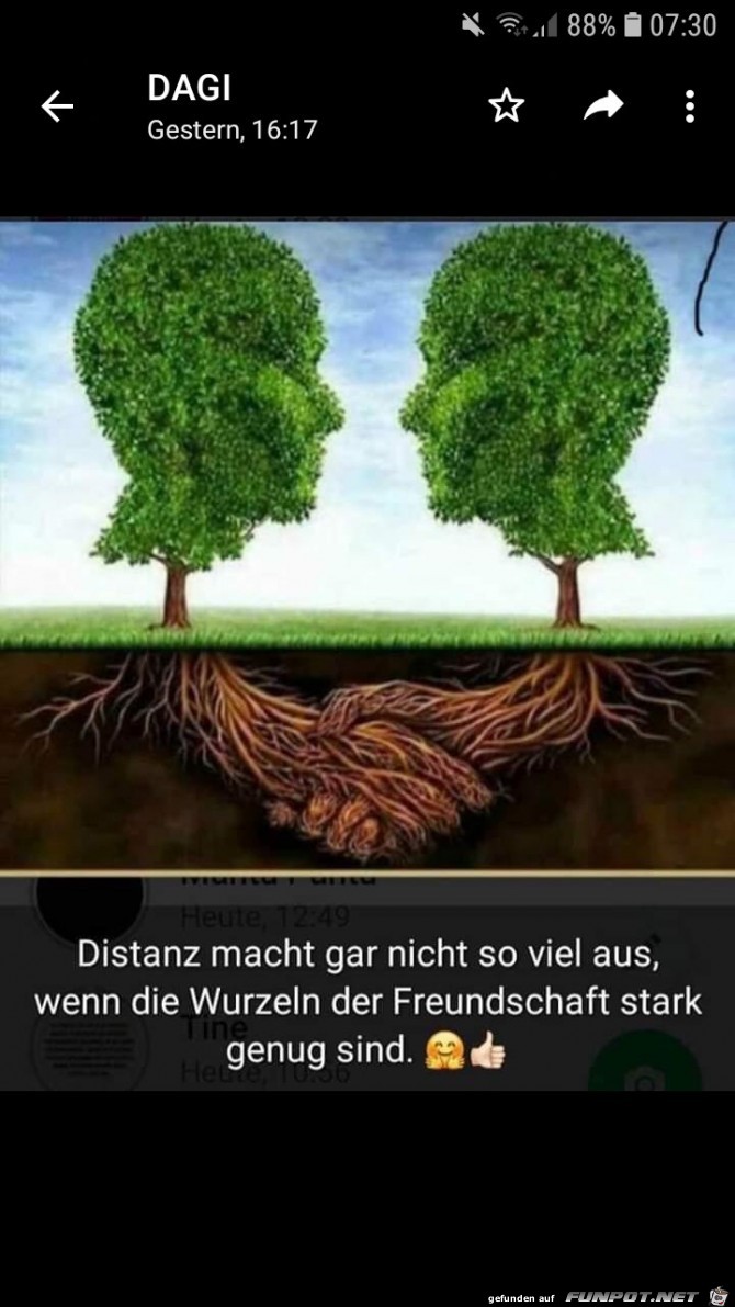 Wurzeln der Freundschaft