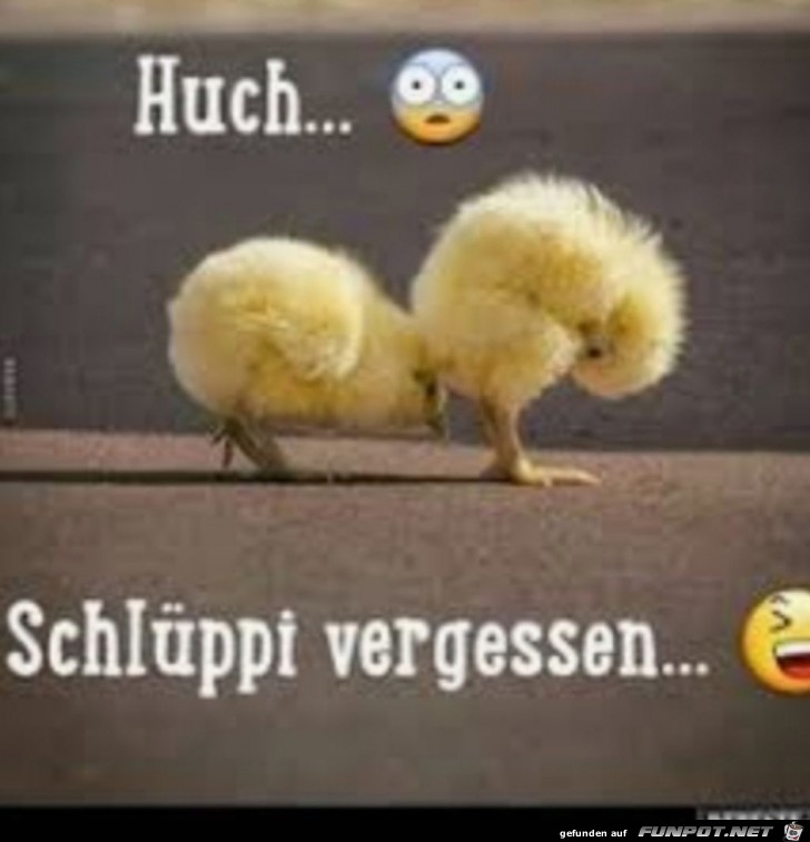 Huch..... Schlppi vergessen.......