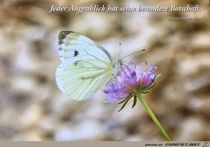 jeder Augenblick hat jeder Augenblick hat