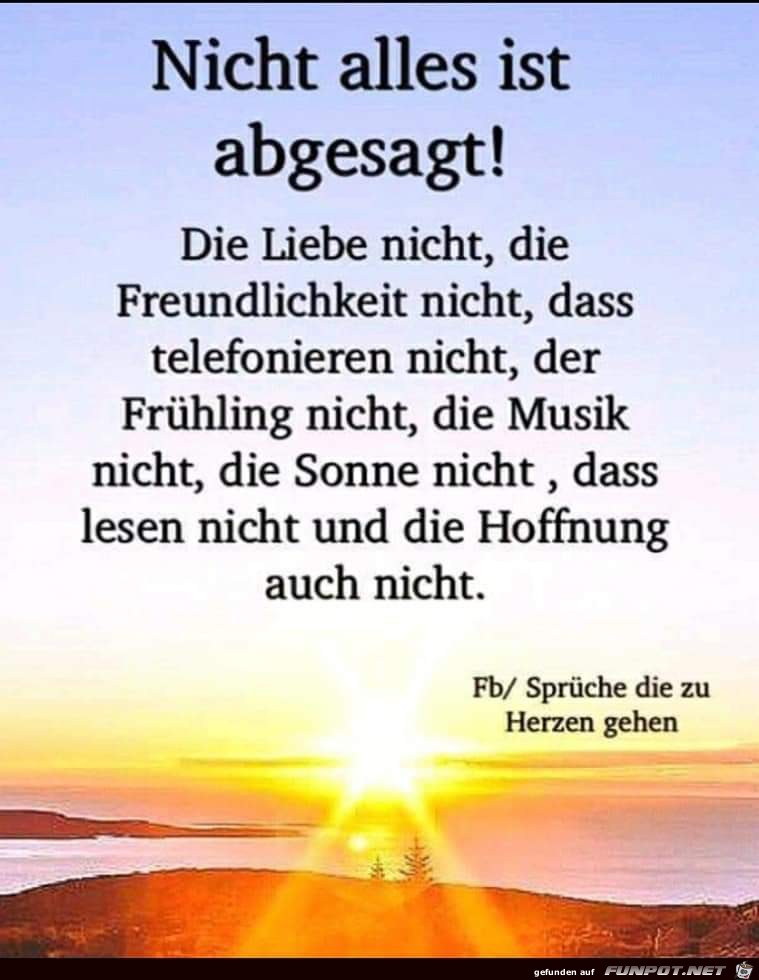 nicht alles