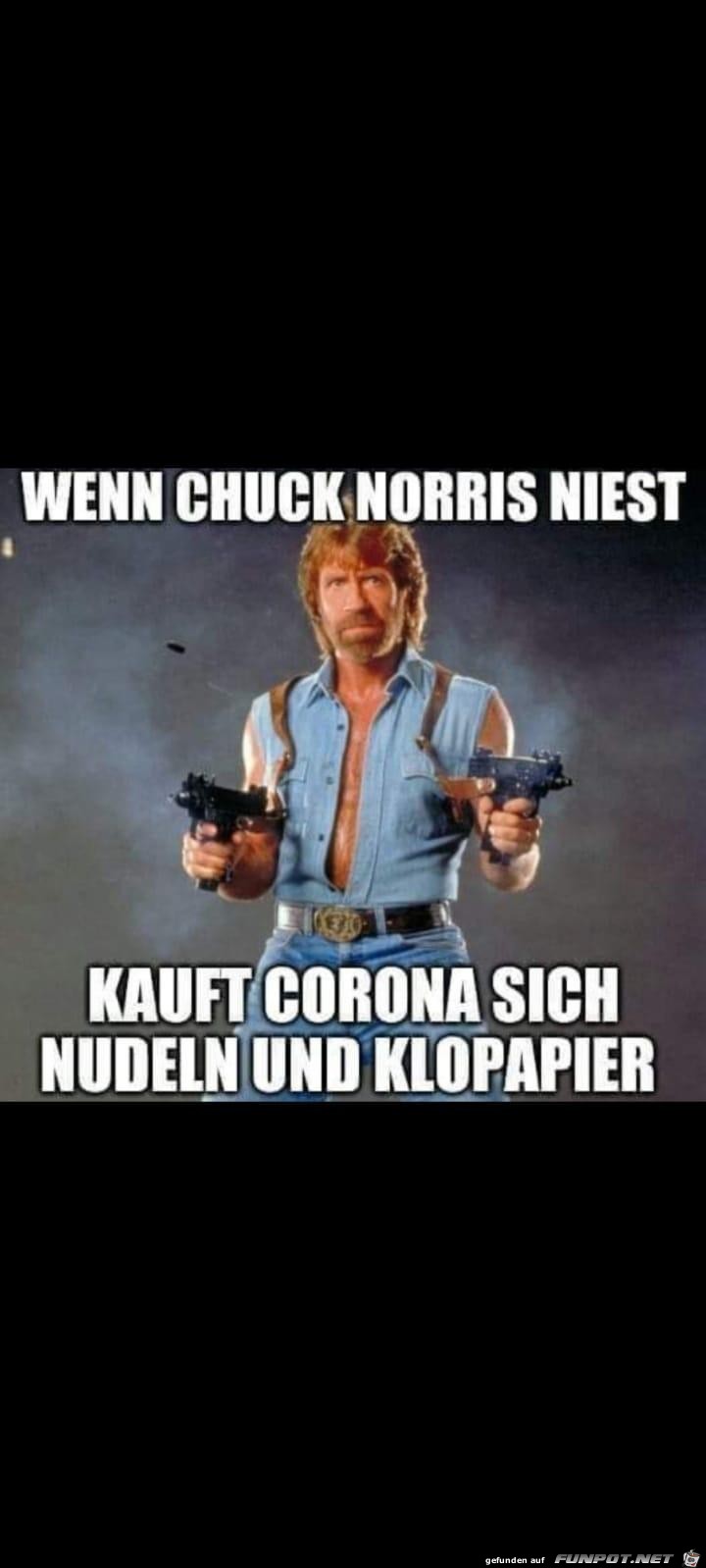 Wenn Chuck Norris niest