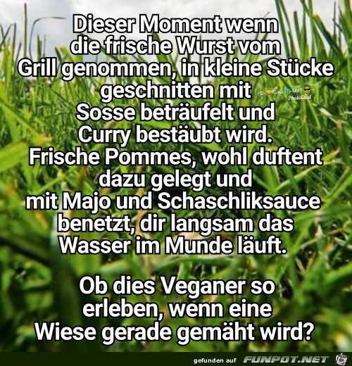 Veganer Appetitanreger