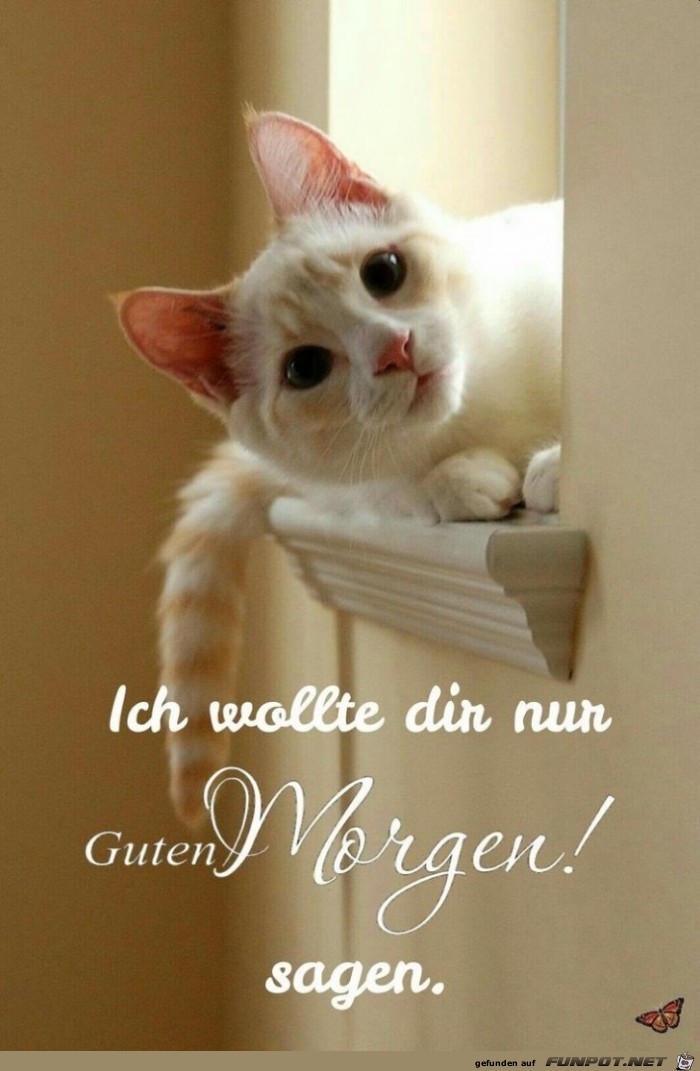 Guten Morgen