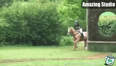 Autsch 264 Autsch 264