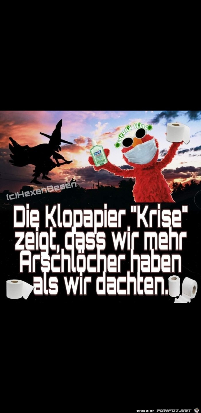 Die Klopapier-Krise