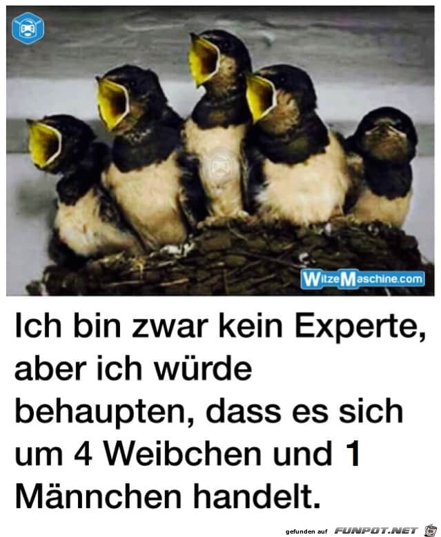 Bin zwar kein Experte