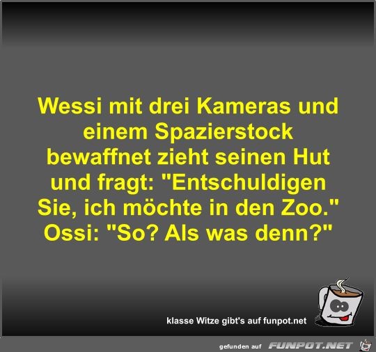 Wessi mit drei Kameras und einem Spazierstock bewaffnet...