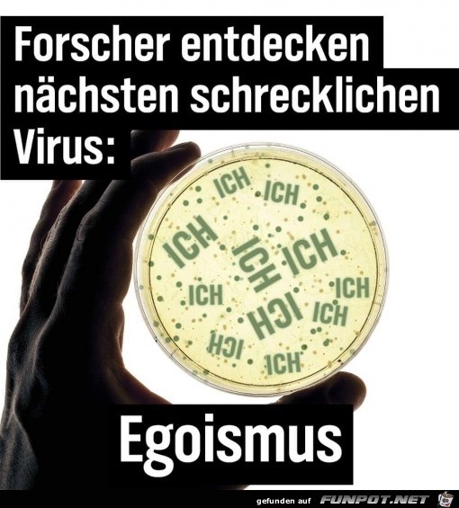 Forscher entdecken neuen Virus