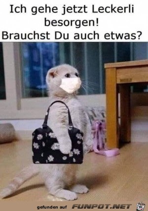 Ich geh einkaufen