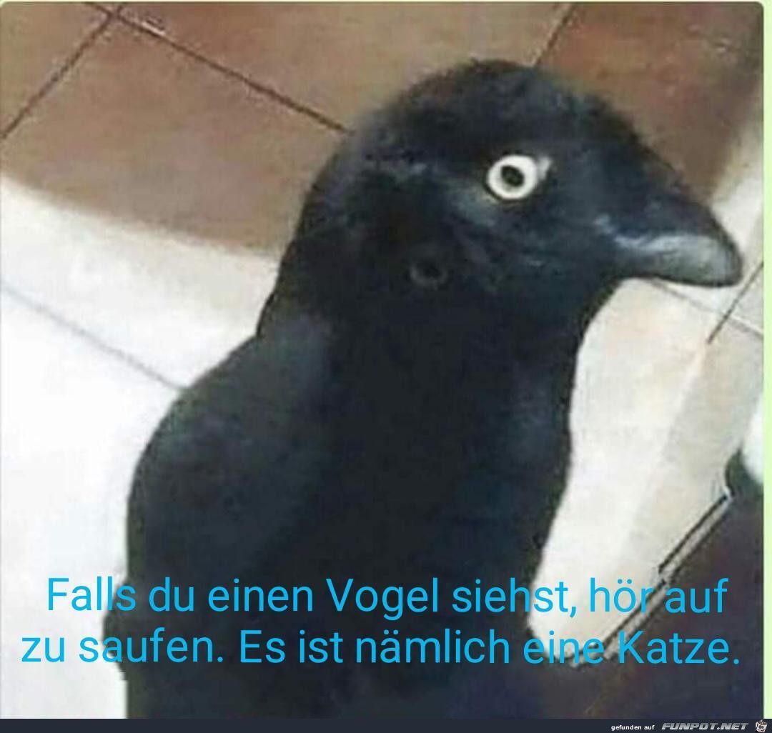 Hoer auf zu saufen