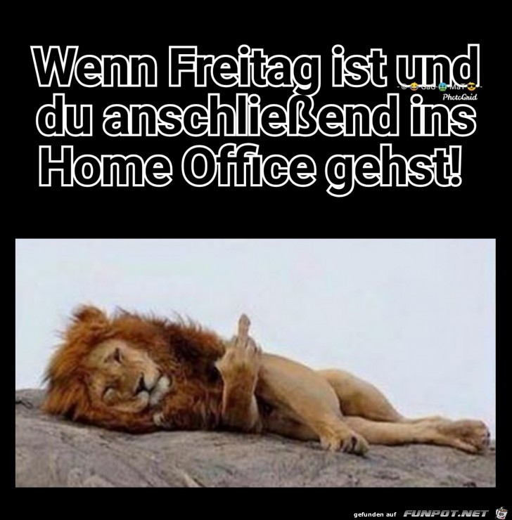 Freitag