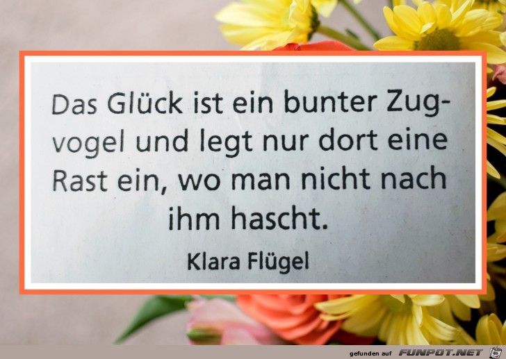 das glueck ist ein bunter zugvogel