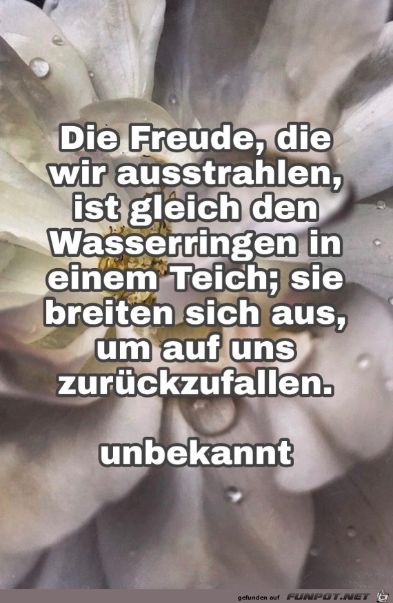 die Freude