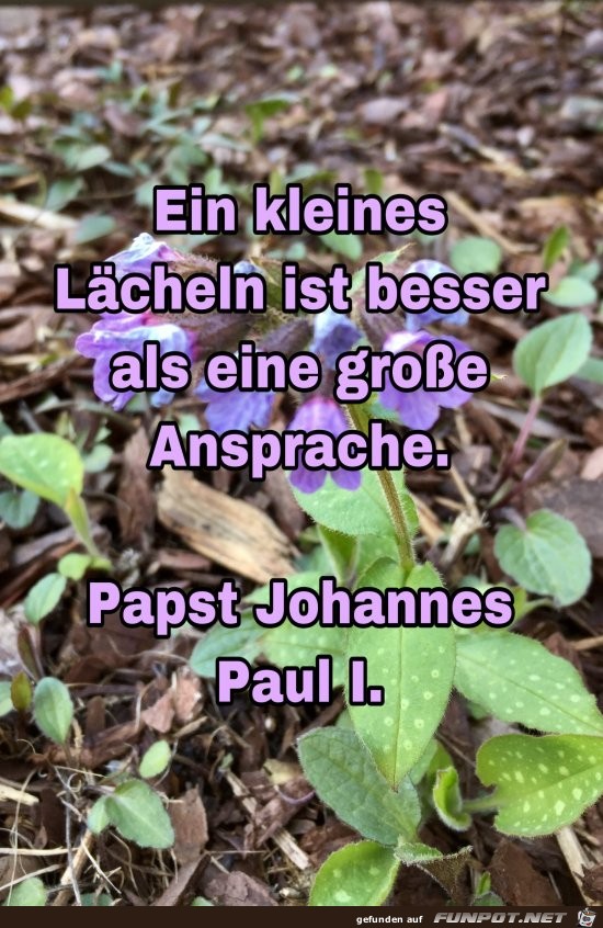 10 schne Sprche und Lebensweisheiten aus...