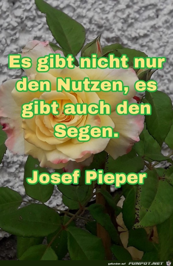 es gibt nicht nur den Nutzen es gibt nicht nur den Nutzen