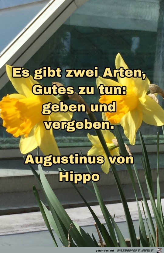 es gibt zwei arten es gibt zwei arten