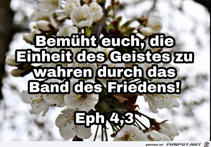 eph. 4.301