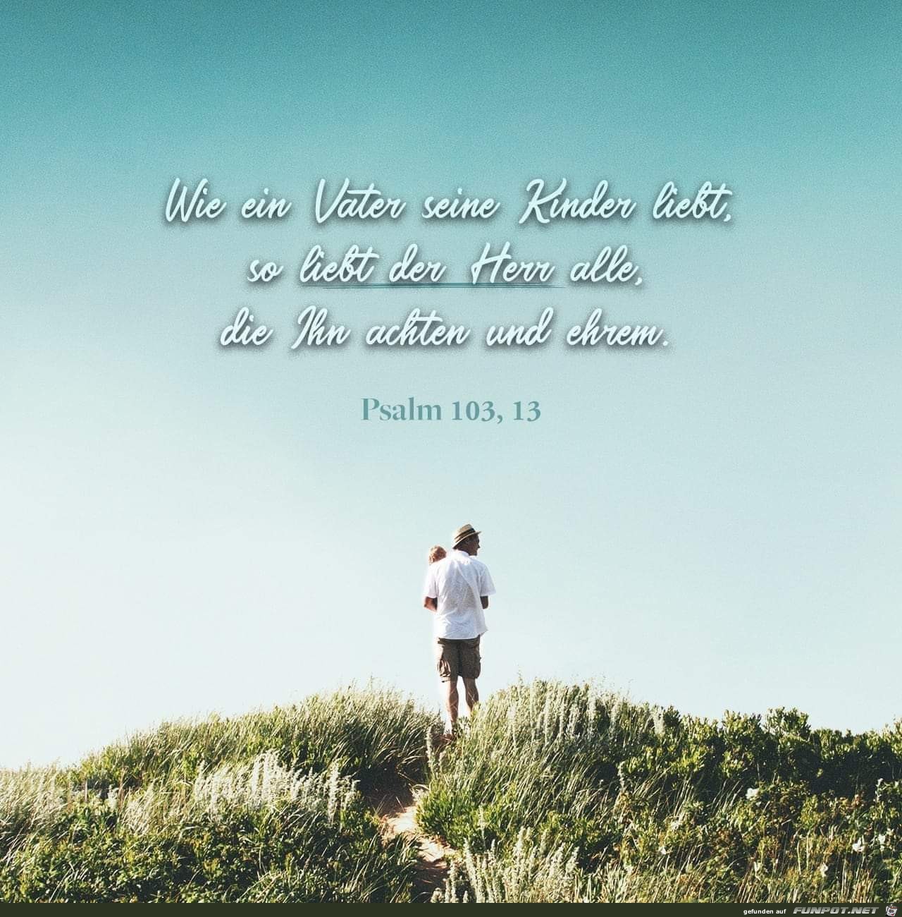 psalm103.13