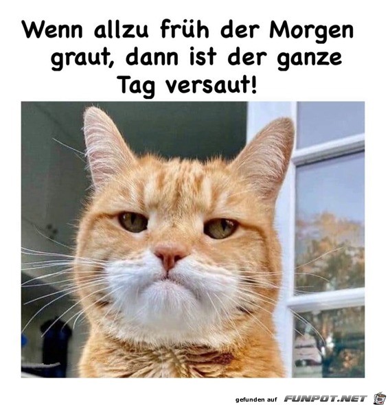 Wenn zu frh der Morgen graut