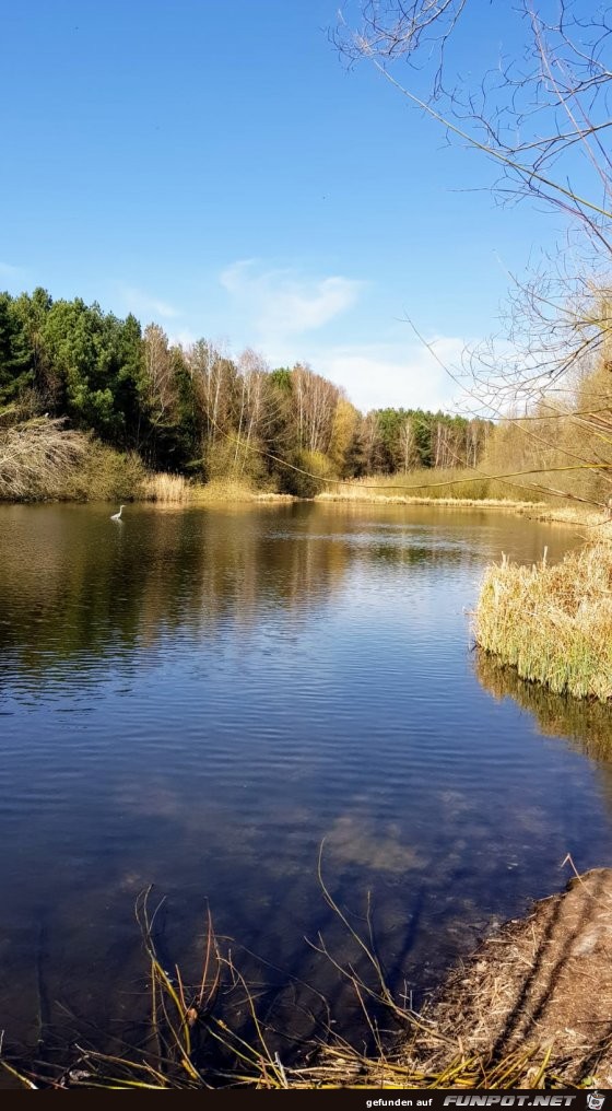 Berlin-Koepenik im Fruehling Nr.1