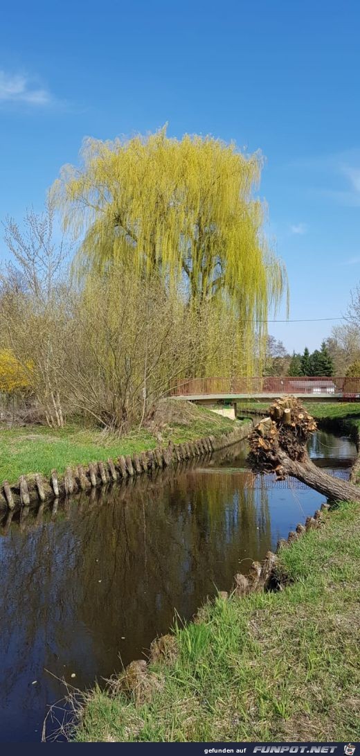 Berlin-Koepenik im Fruehling Nr.2