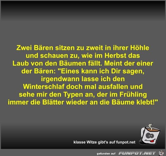 Zwei Bären sitzen zu zweit in ihrer Höhle und schauen zu Zwei Bären sitzen zu zweit in ihrer Höhle und schauen zu