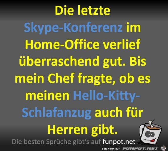 Die letzte Skype-Konferenz