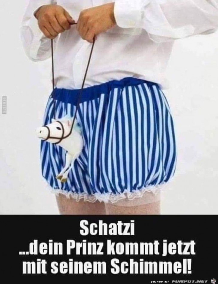 Schatzi , dein Prinz kommt jetzt