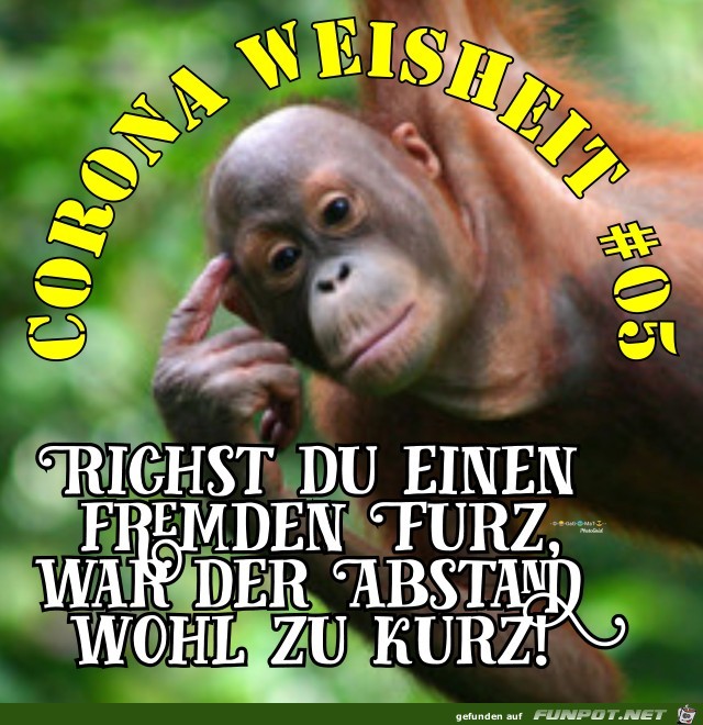 Corona Weisheit 05