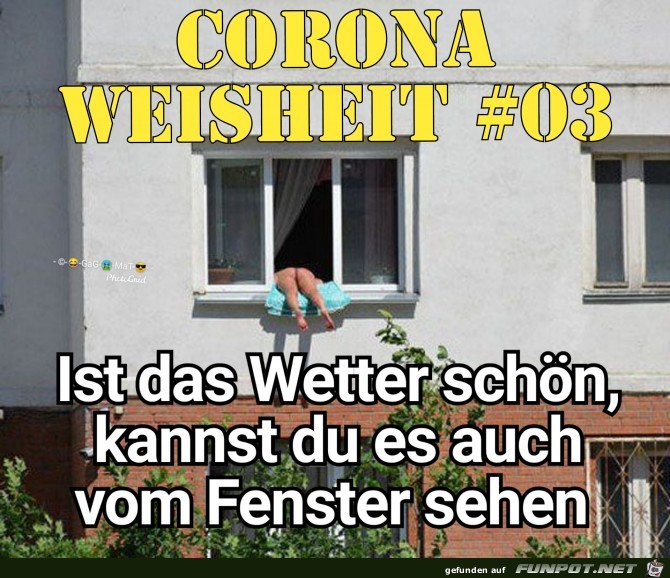 Corona Weisheit 03