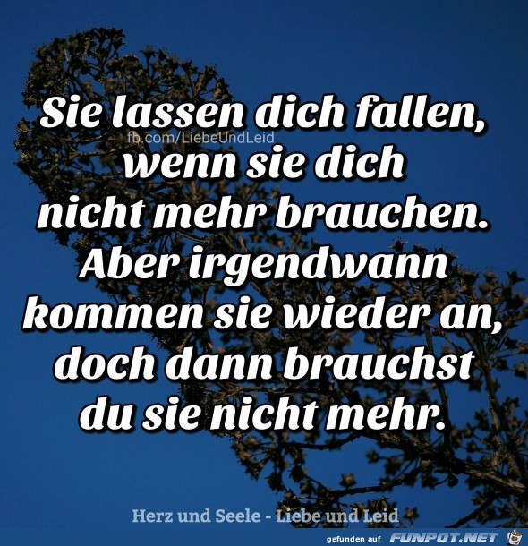 Sie lassen dich fallen Sie lassen dich fallen
