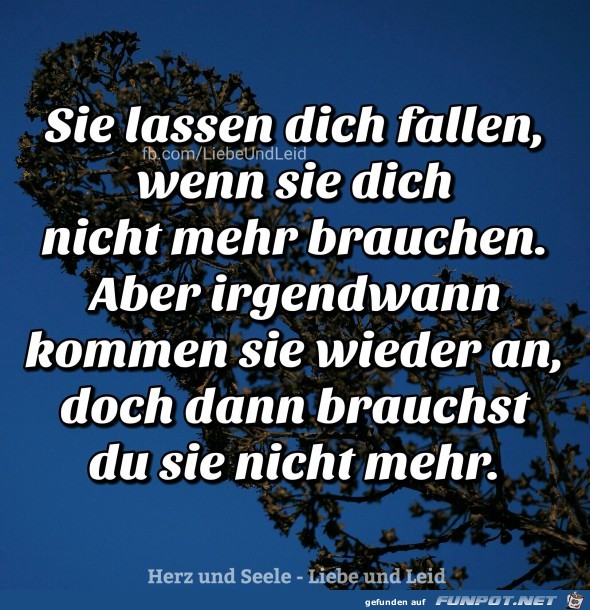 Sie lassen dich fallen