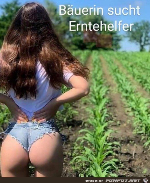 hbsche Buerin sucht Erntehelfer