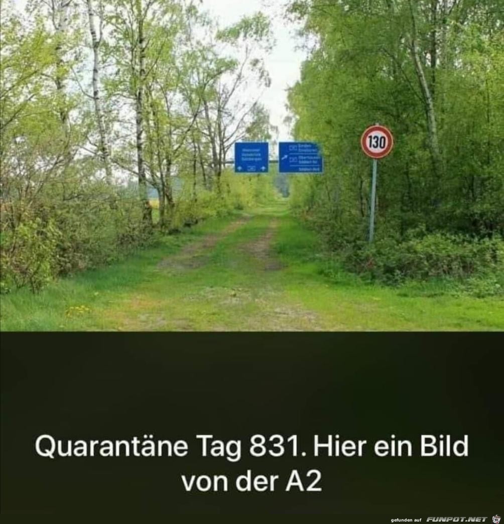 Quarantaene Tag 831