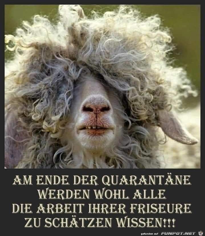 am ende der quarantaene