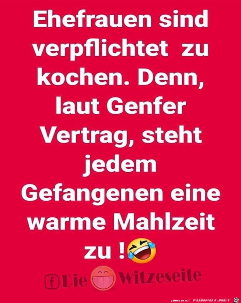 ehefrauen sind verpflichtet ehefrauen sind verpflichtet