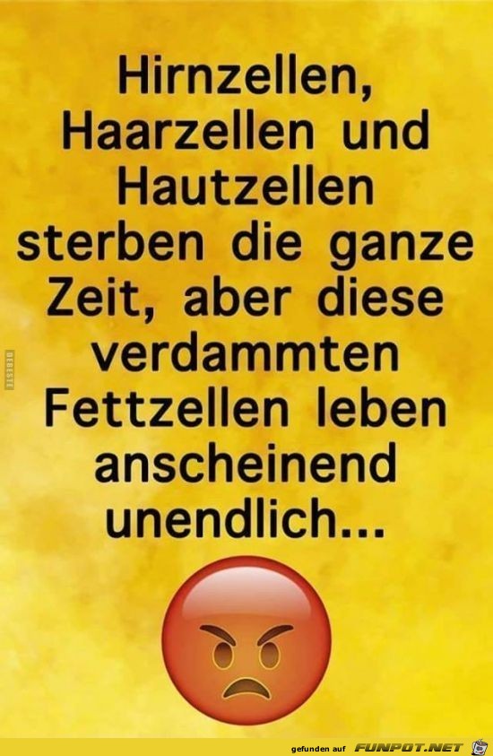 hirnzellen hirnzellen