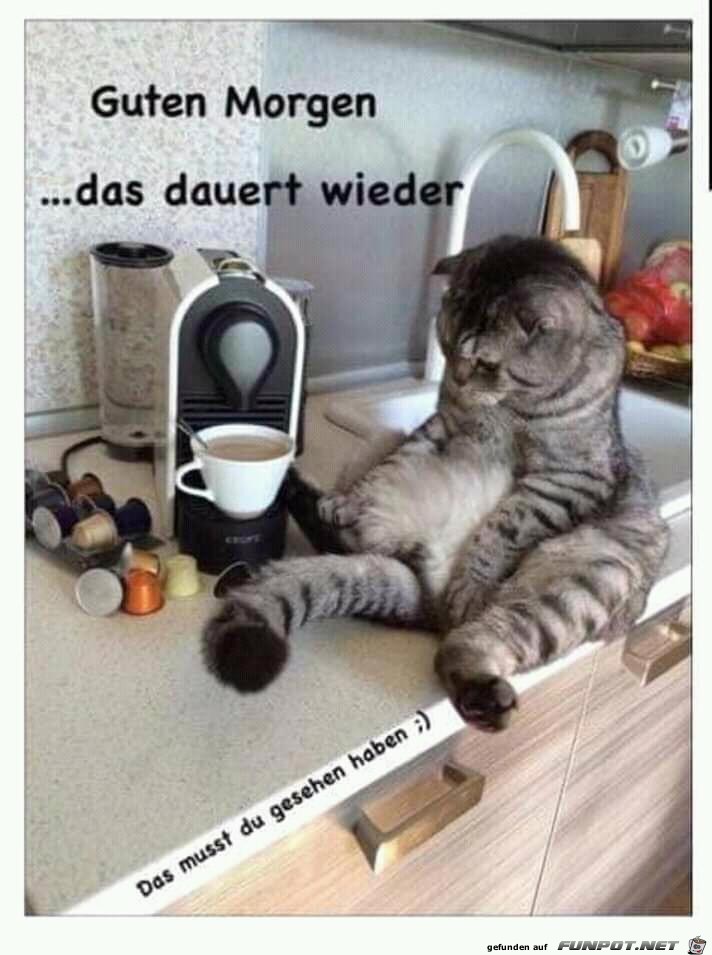 guten Morgen