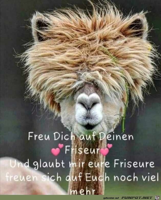 Freu dich auf deinen Friseur