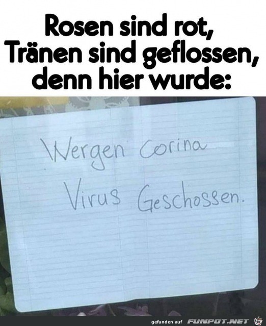 witzige Bilder aus verschiedenen Blogs