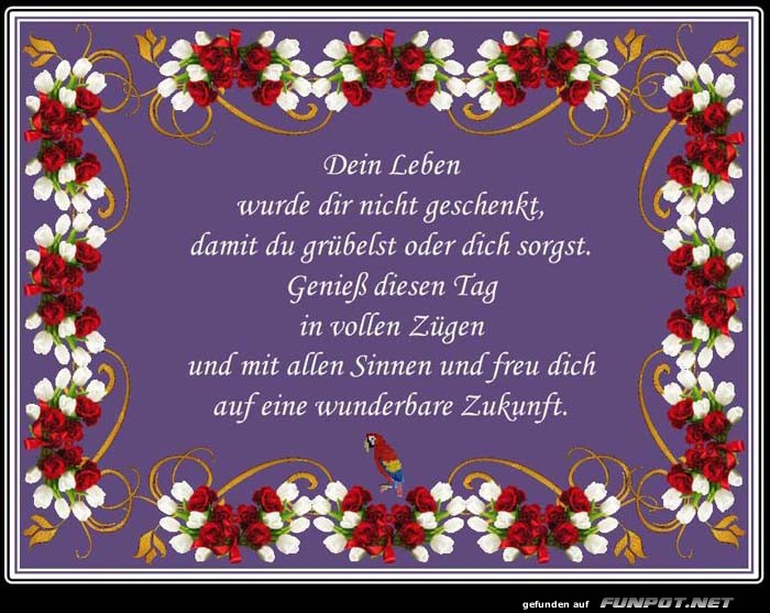 Dein Leben Dein Leben