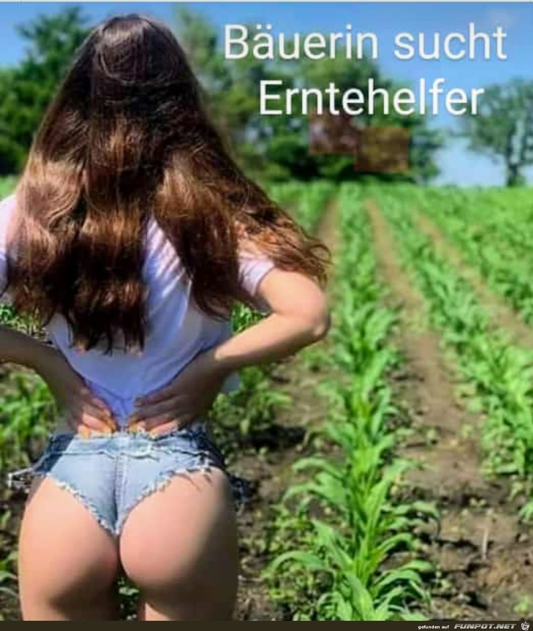 Erntehelfer