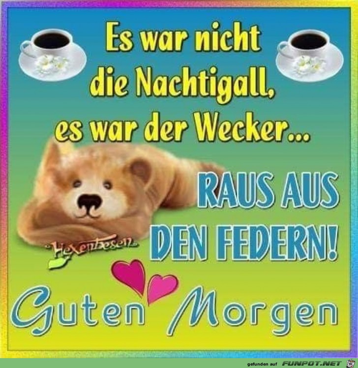 Guten Morgen