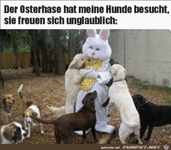 Osterhase zu Besuch